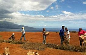 Kahoolawe Island Reserve